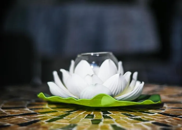 Apartment Cloud 6 -top Center,360° View,free Private Parking *