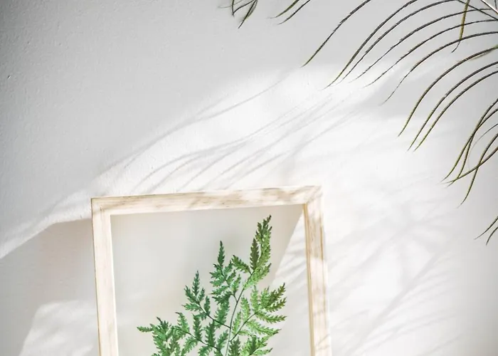 Apartment Cloud 6 -top Center,360° View,free Private Parking