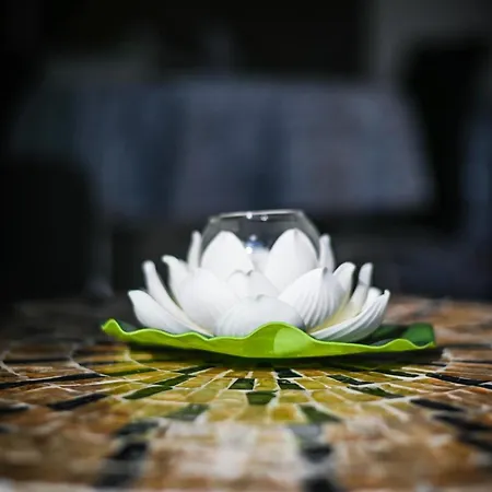 Appartement Cloud 6 -top Center,360° View,free Private Parking *