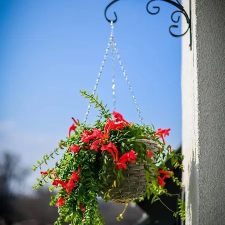 アパート Cloud 6 -top Center,360° View,free Private Parking *