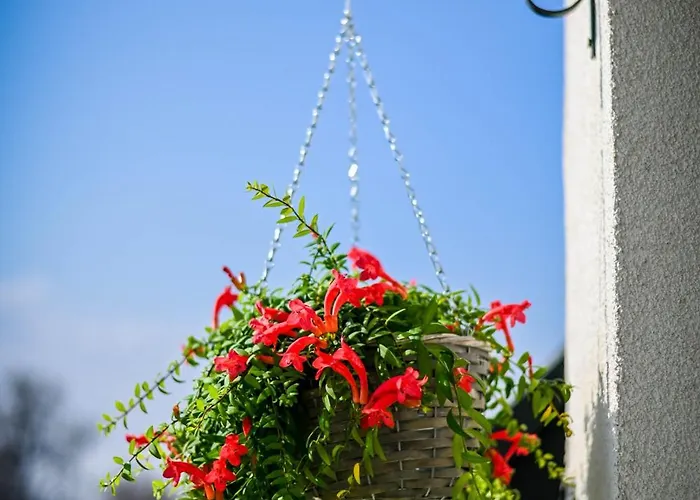 Apartamento Cloud 6 -top Center,360° View,free Private Parking *